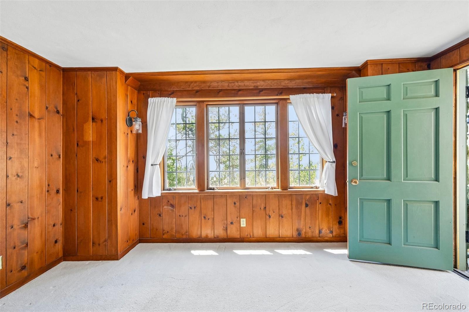 MLS Image #14 for 11793  braun way,conifer, Colorado