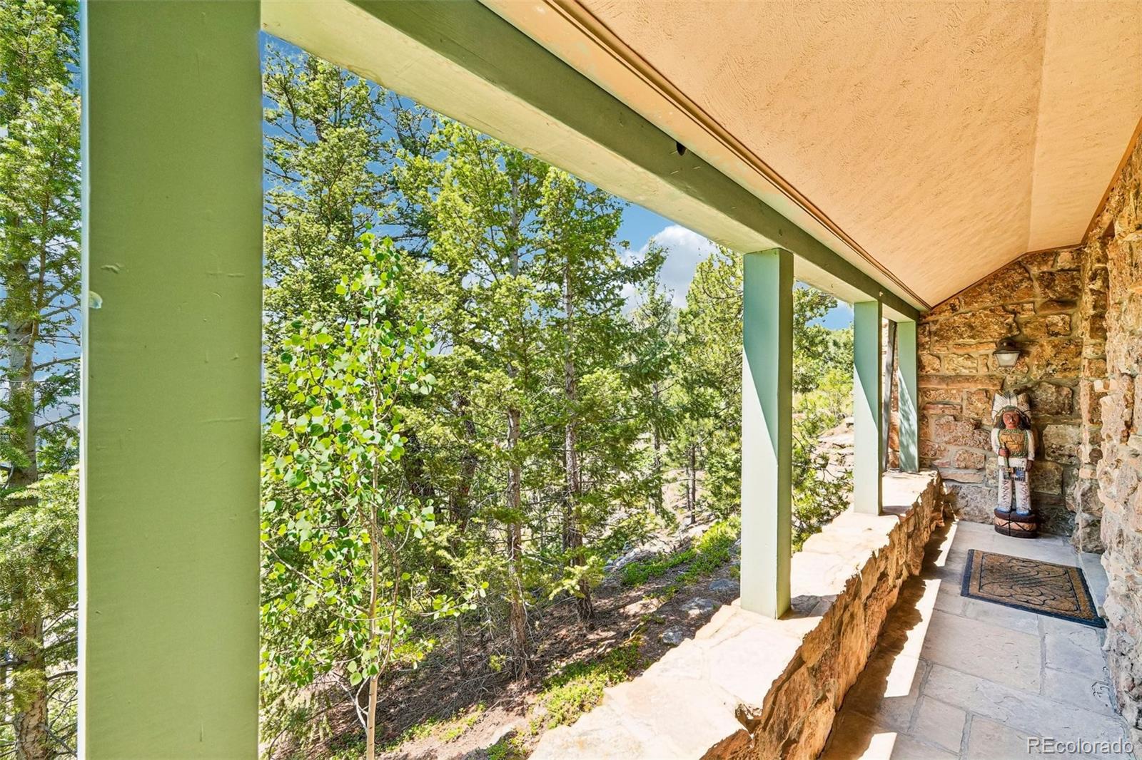 MLS Image #3 for 11793  braun way,conifer, Colorado
