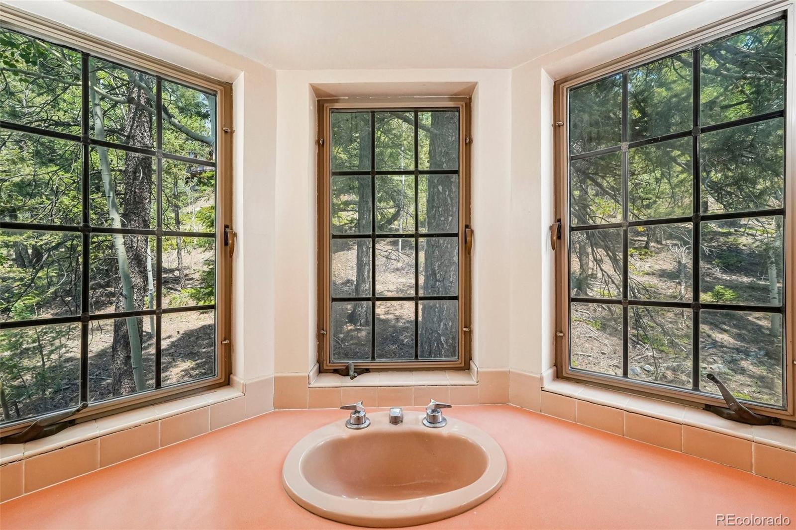 MLS Image #37 for 11793  braun way,conifer, Colorado