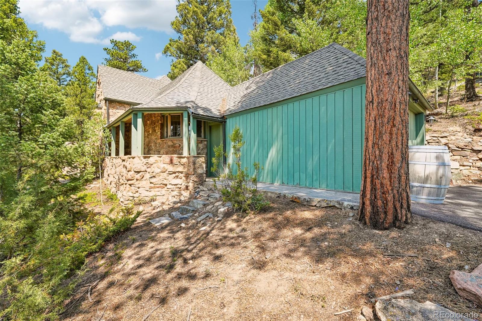 MLS Image #46 for 11793  braun way,conifer, Colorado