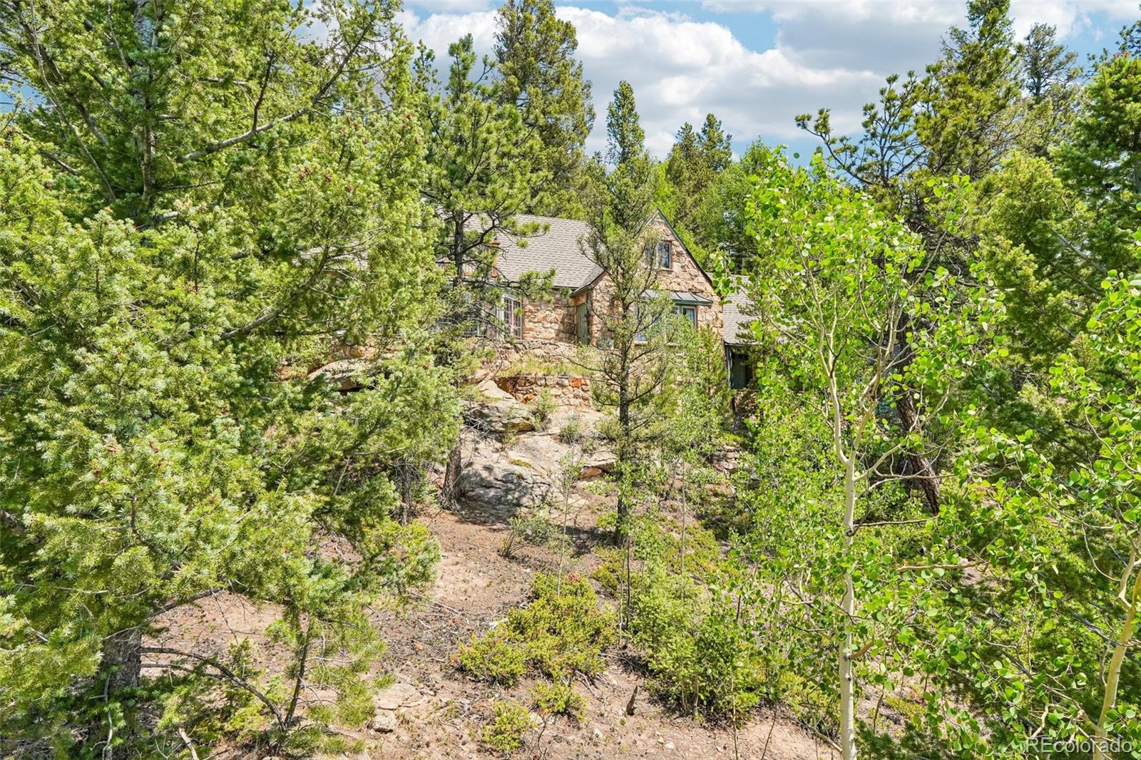MLS Image #47 for 11793  braun way,conifer, Colorado