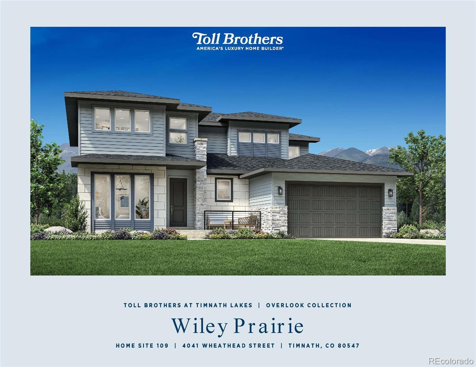 MLS Image #2 for 4041  wheathead street,timnath, Colorado