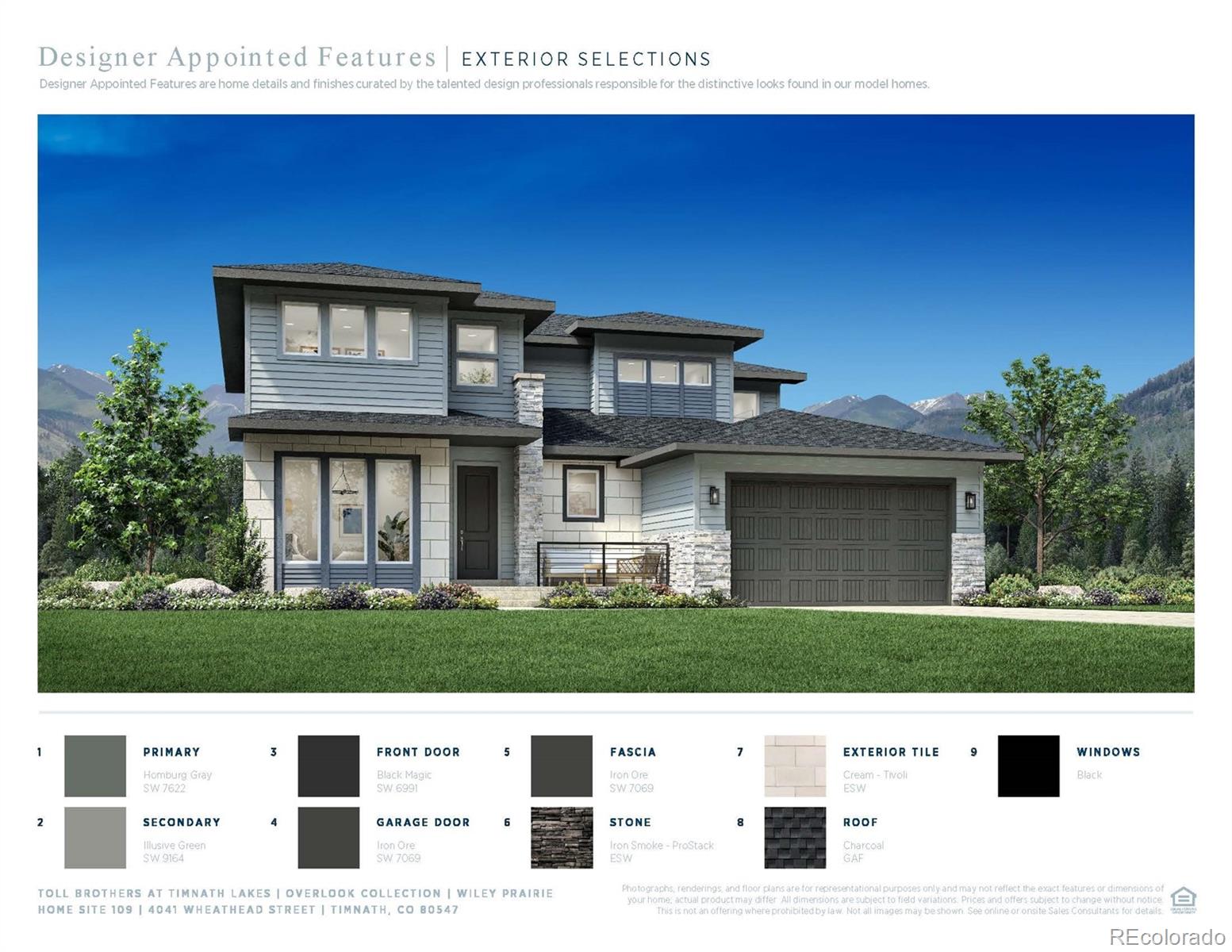 MLS Image #3 for 4041  wheathead street,timnath, Colorado