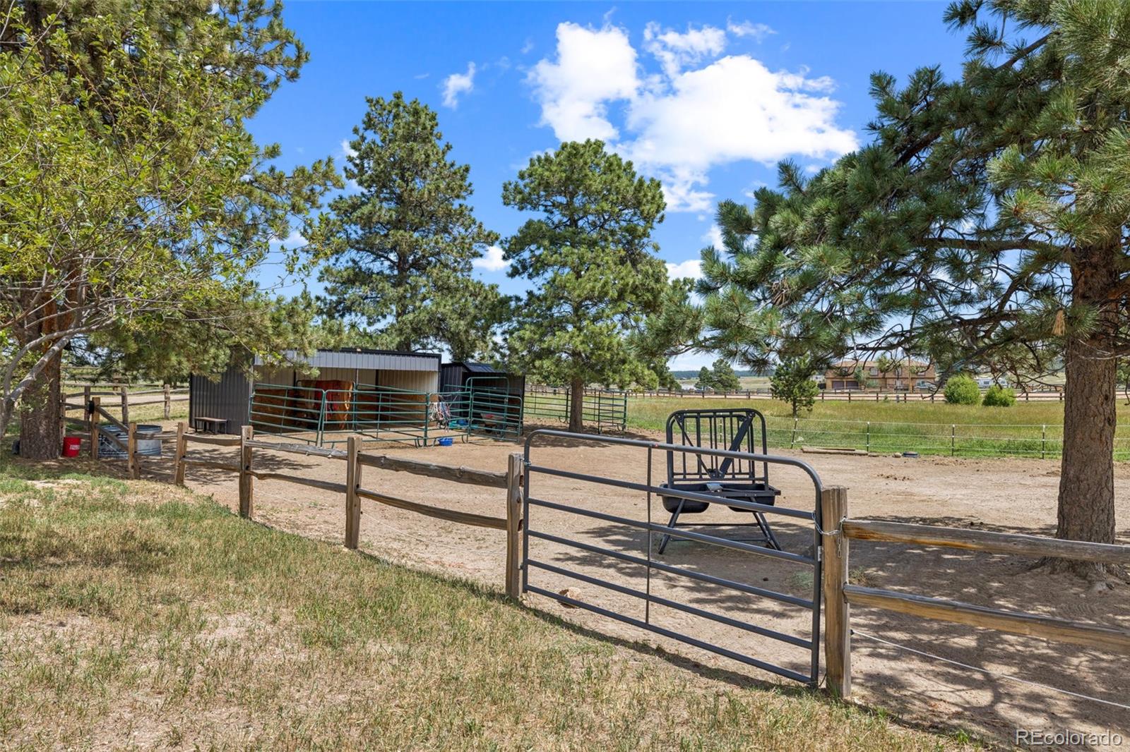 MLS Image #3 for 17940  appaloosa road,monument, Colorado
