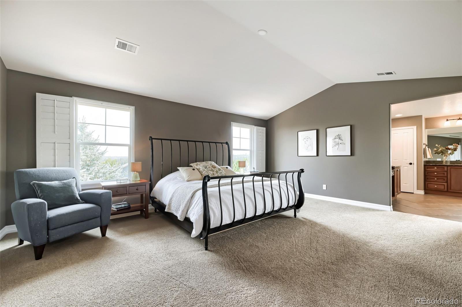 MLS Image #12 for 2221  ridgetrail drive,castle rock, Colorado