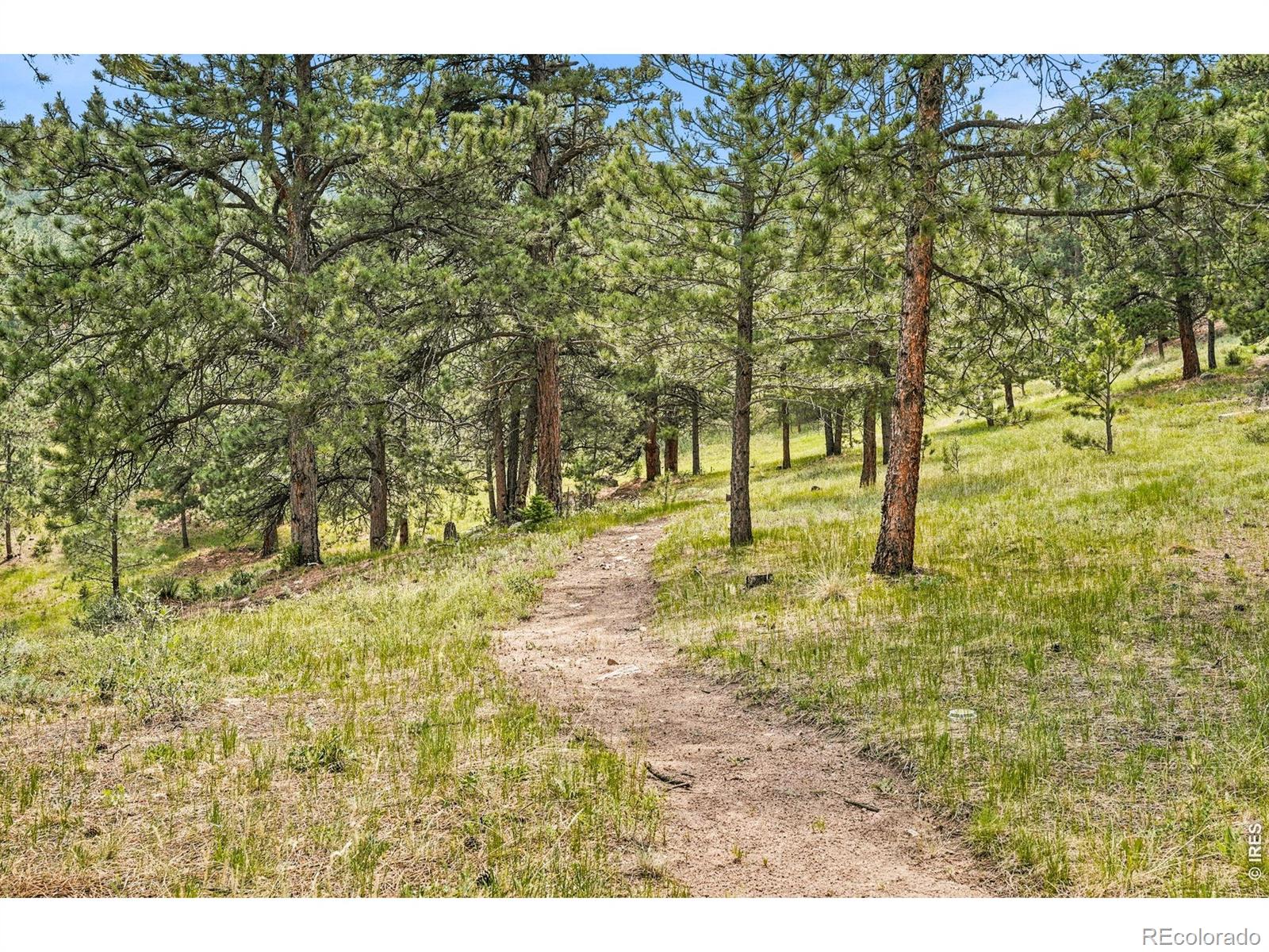 MLS Image #43 for 575  reed ranch road,boulder, Colorado