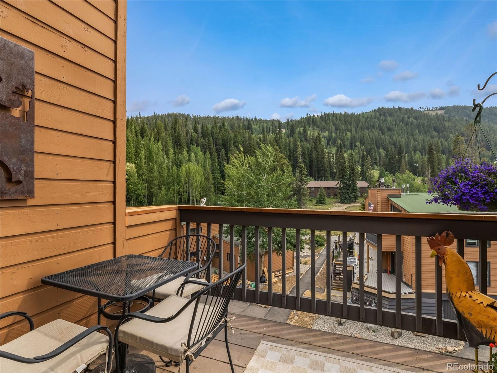 MLS Image #22 for 1493 e keystone road 2958,keystone, Colorado