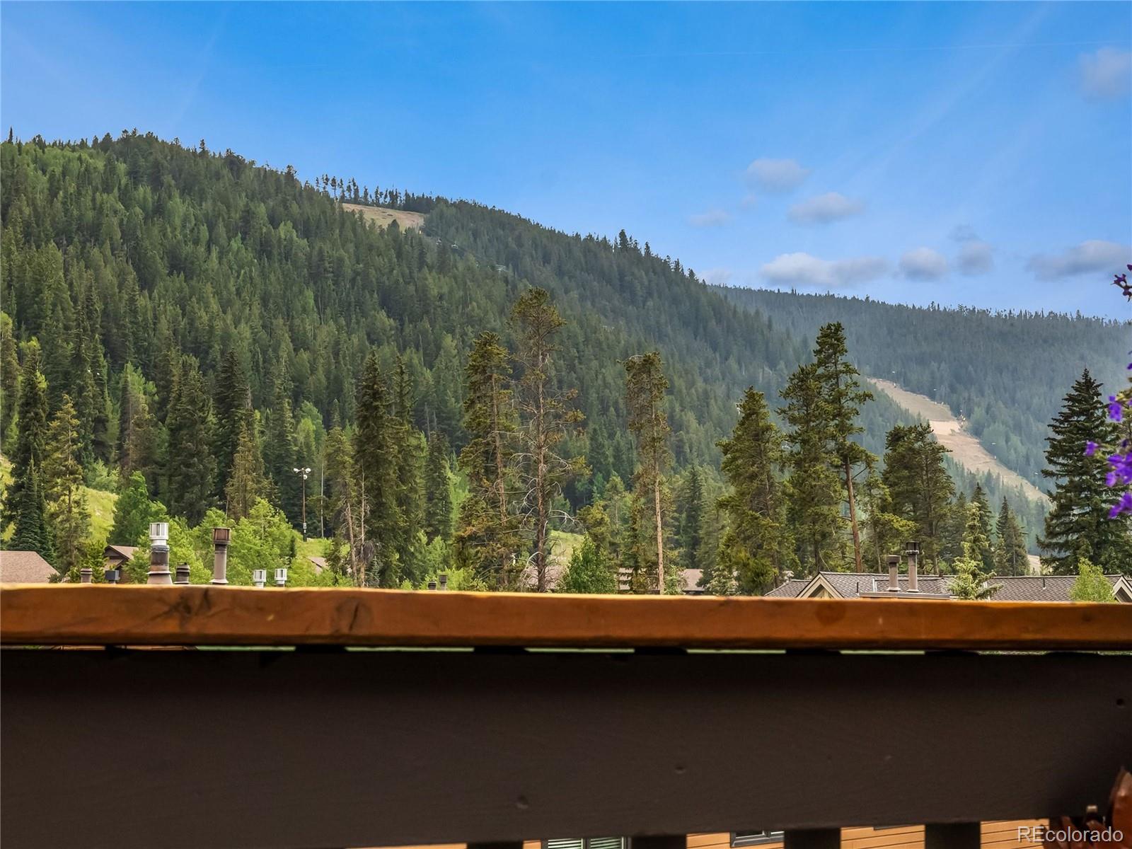 MLS Image #24 for 1493 e keystone road 2958,keystone, Colorado