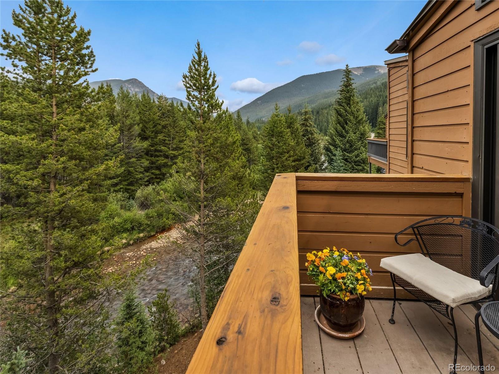 MLS Image #3 for 1493 e keystone road 2958,keystone, Colorado