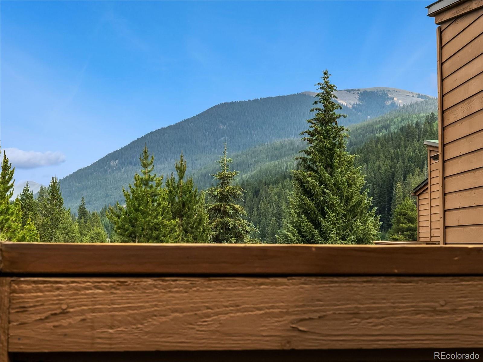 MLS Image #37 for 1493 e keystone road 2958,keystone, Colorado