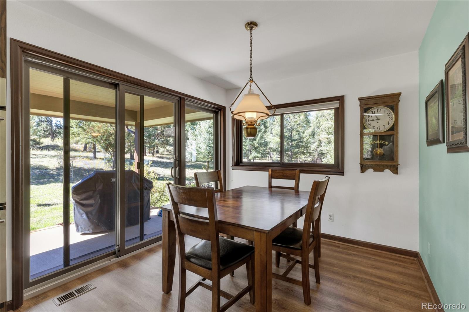 MLS Image #11 for 21556  spring creek road,buffalo creek, Colorado