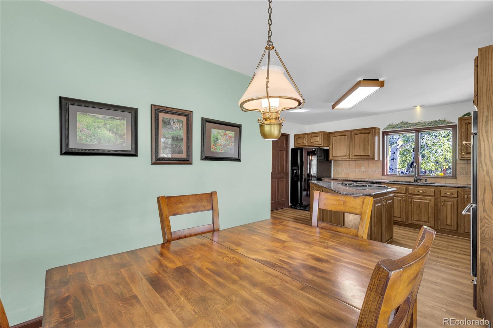 MLS Image #12 for 21556  spring creek road,buffalo creek, Colorado