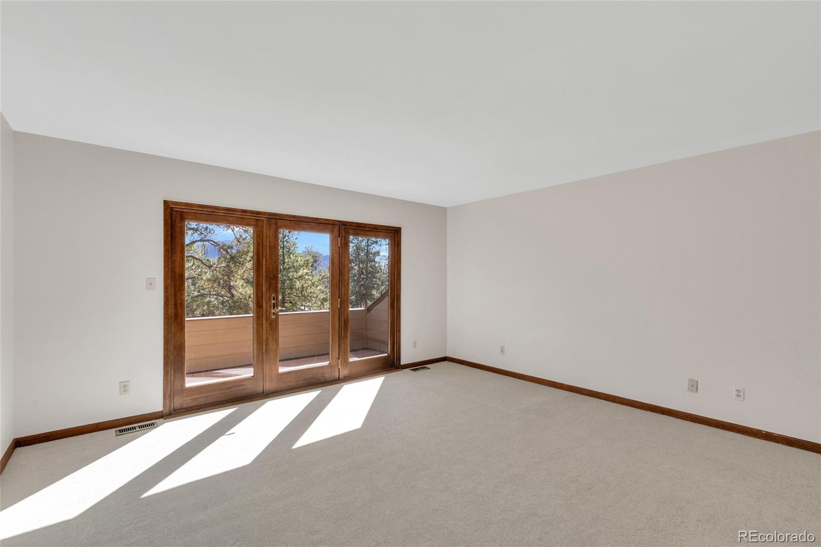 MLS Image #15 for 21556  spring creek road,buffalo creek, Colorado
