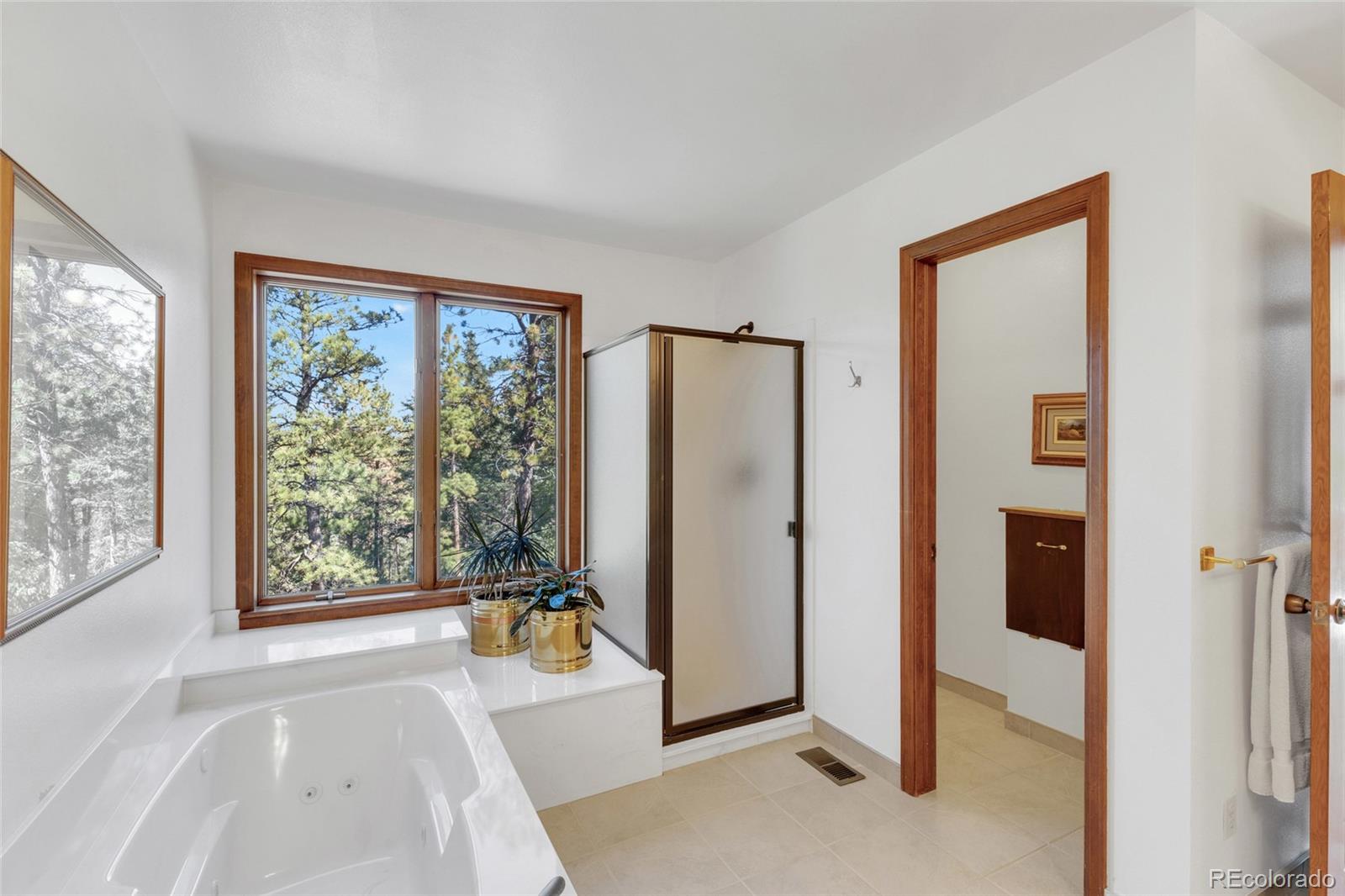 MLS Image #16 for 21556  spring creek road,buffalo creek, Colorado
