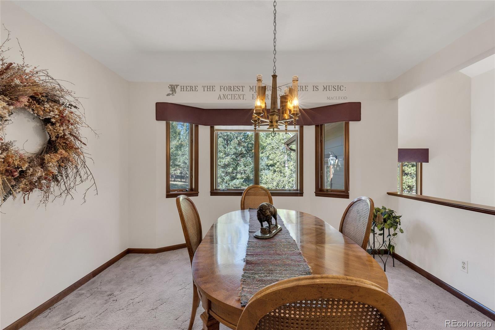MLS Image #22 for 21556  spring creek road,buffalo creek, Colorado