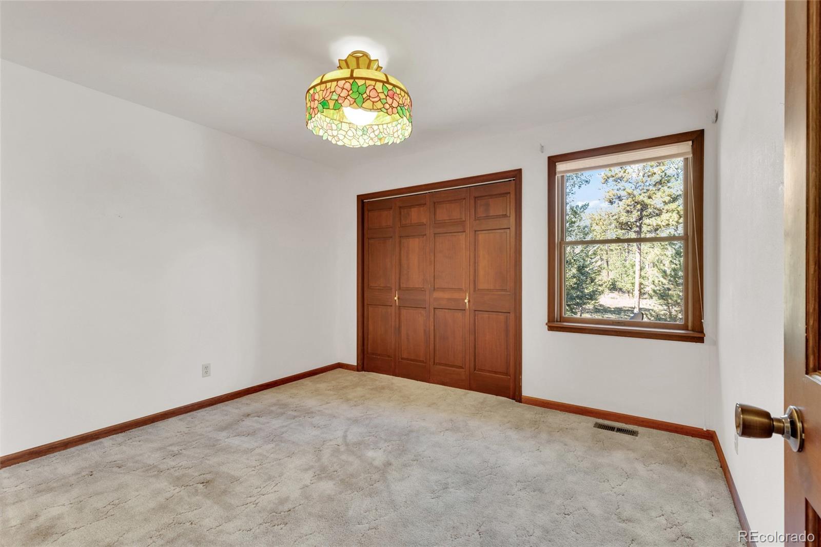 MLS Image #24 for 21556  spring creek road,buffalo creek, Colorado