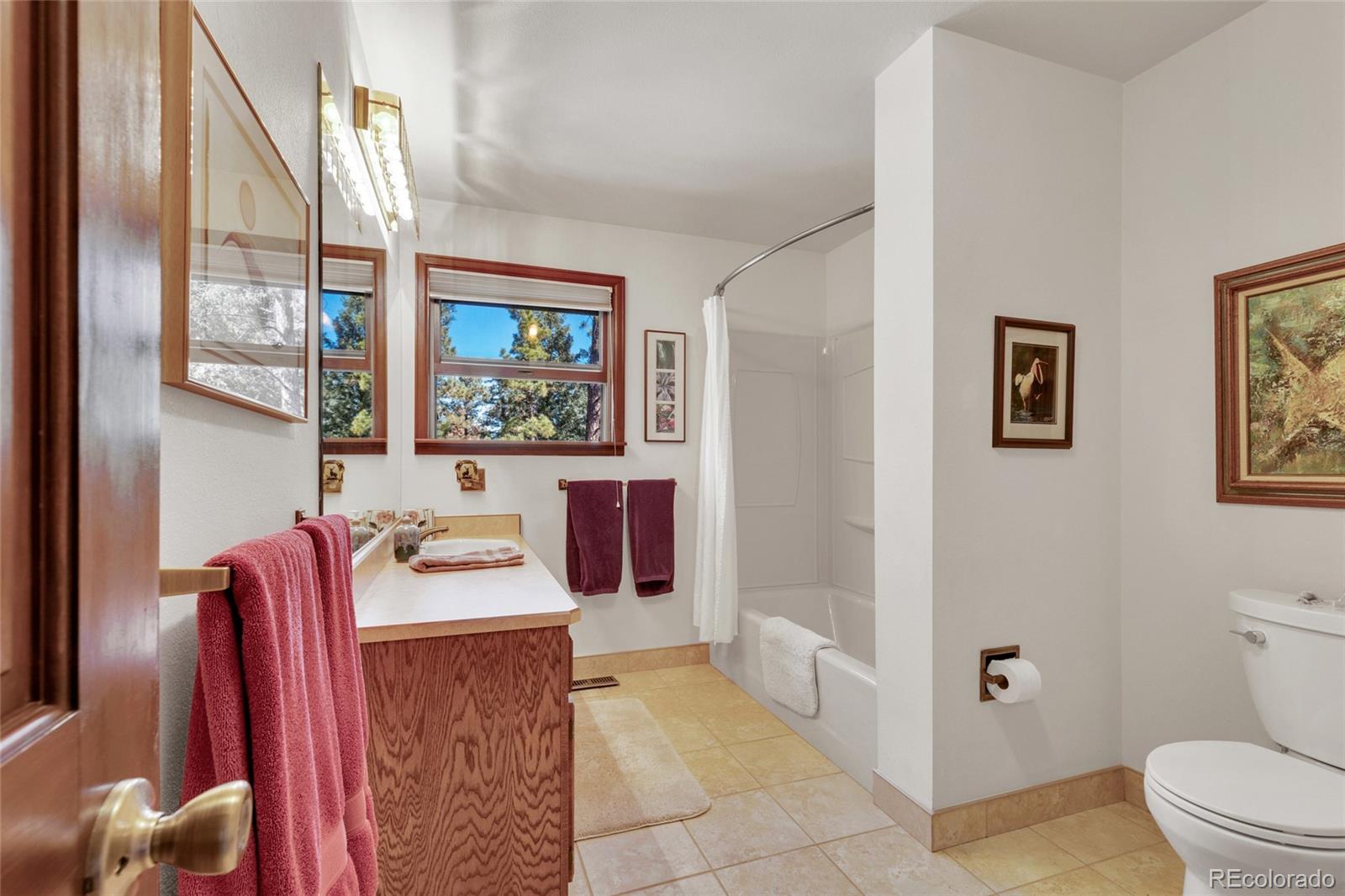 MLS Image #26 for 21556  spring creek road,buffalo creek, Colorado