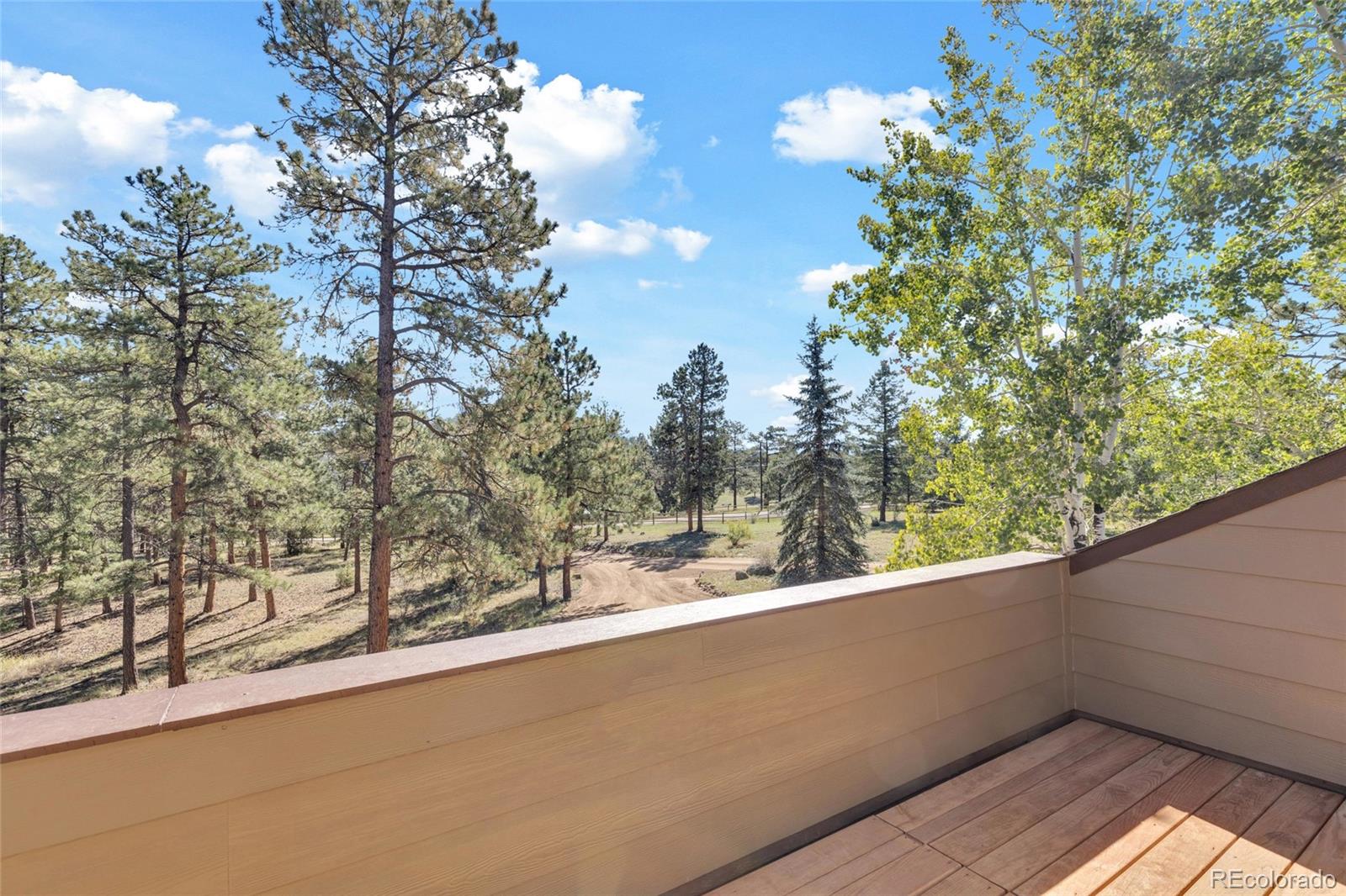 MLS Image #27 for 21556  spring creek road,buffalo creek, Colorado
