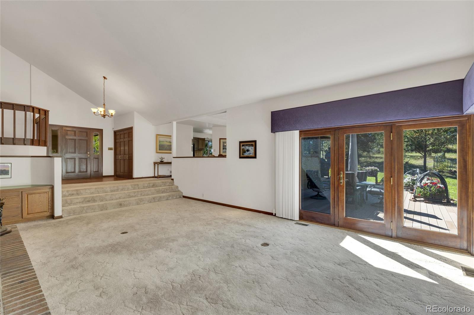 MLS Image #3 for 21556  spring creek road,buffalo creek, Colorado