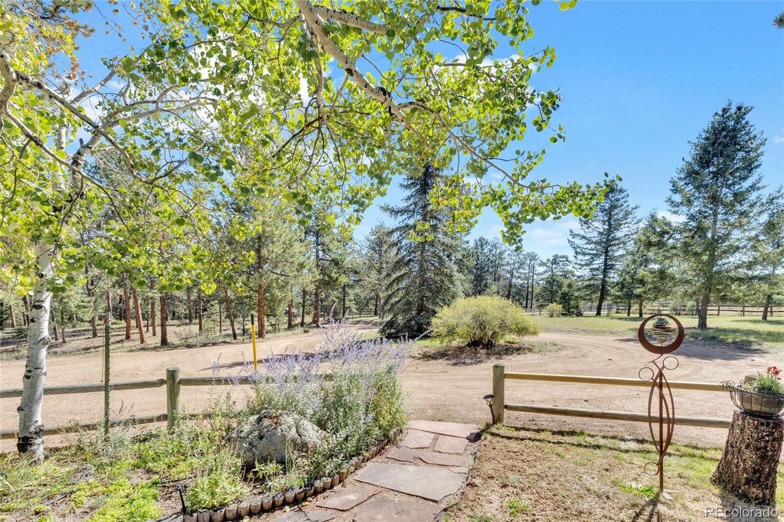 MLS Image #31 for 21556  spring creek road,buffalo creek, Colorado