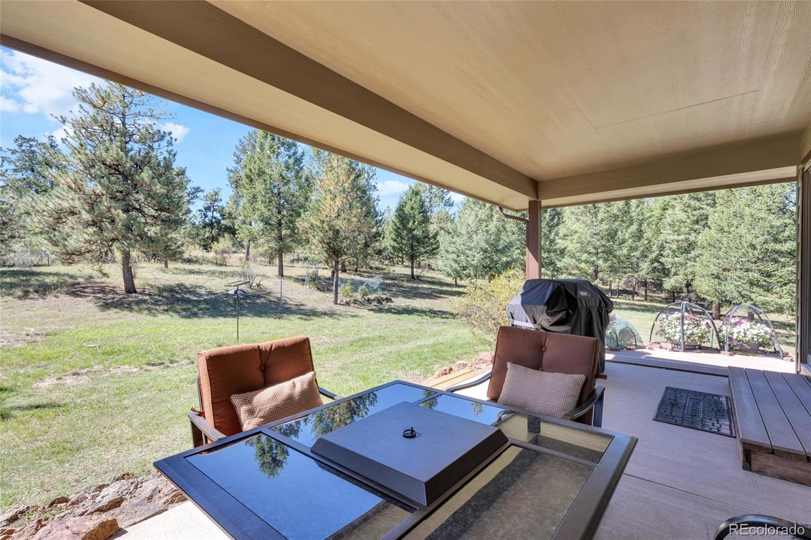 MLS Image #35 for 21556  spring creek road,buffalo creek, Colorado