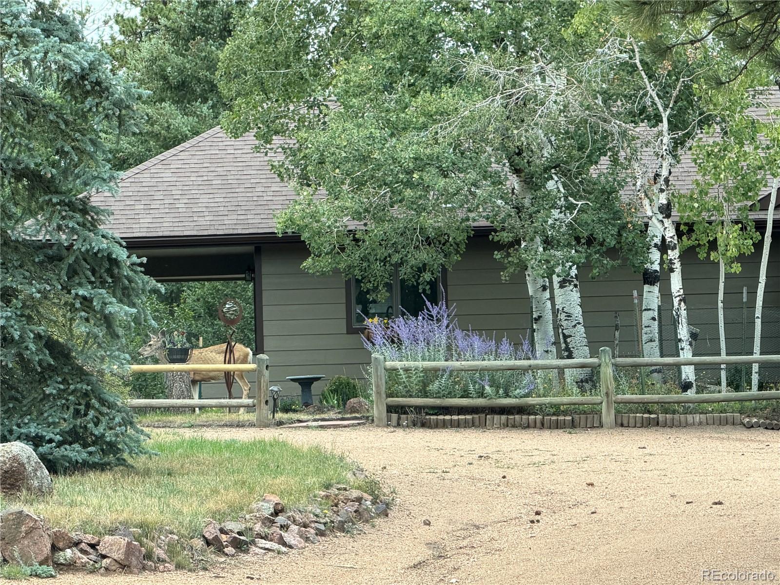 MLS Image #39 for 21556  spring creek road,buffalo creek, Colorado