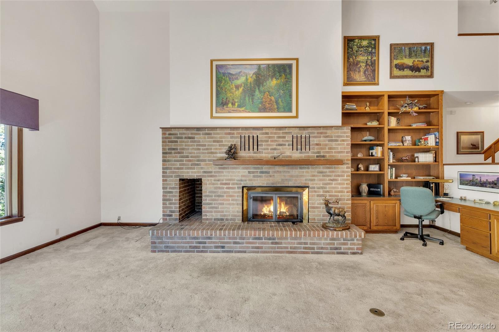 MLS Image #4 for 21556  spring creek road,buffalo creek, Colorado