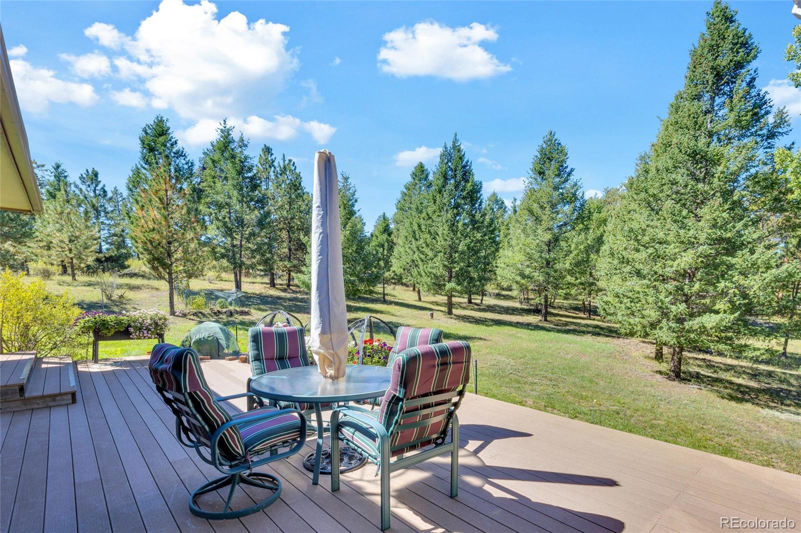 MLS Image #41 for 21556  spring creek road,buffalo creek, Colorado