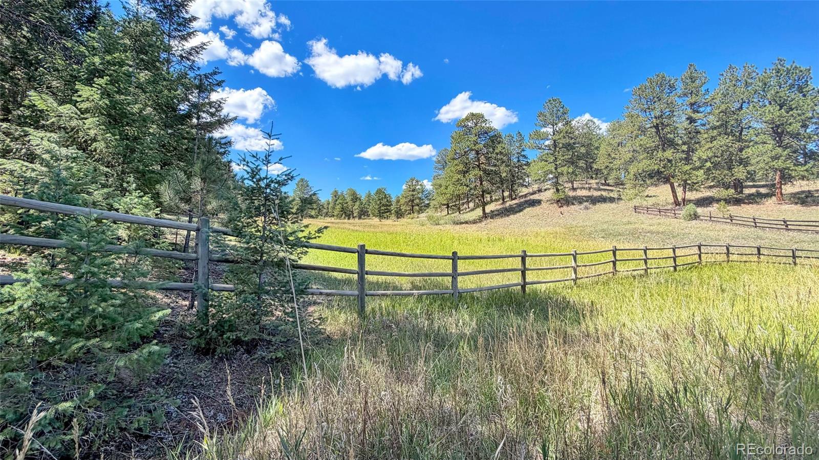 MLS Image #48 for 21556  spring creek road,buffalo creek, Colorado