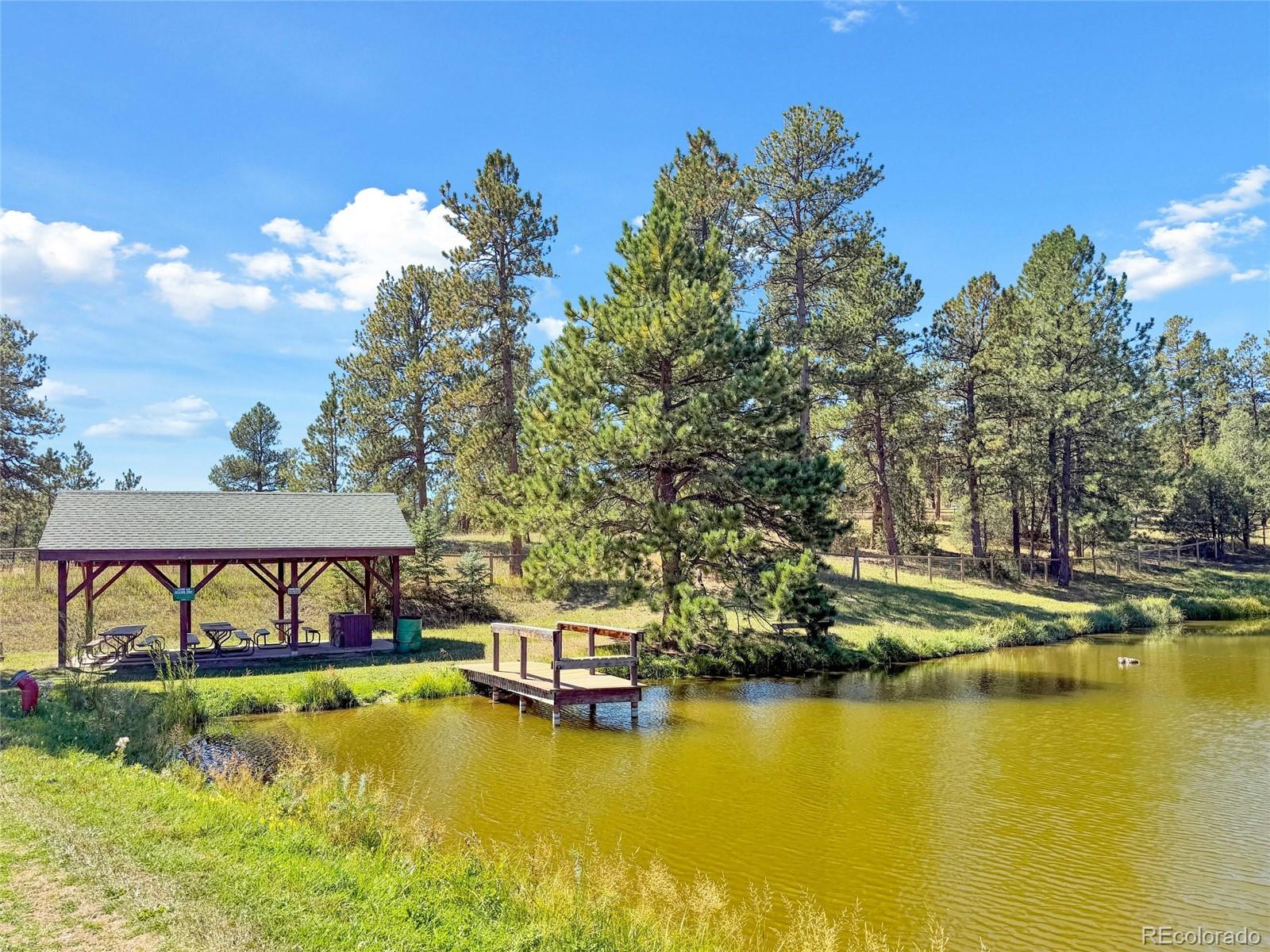 MLS Image #49 for 21556  spring creek road,buffalo creek, Colorado