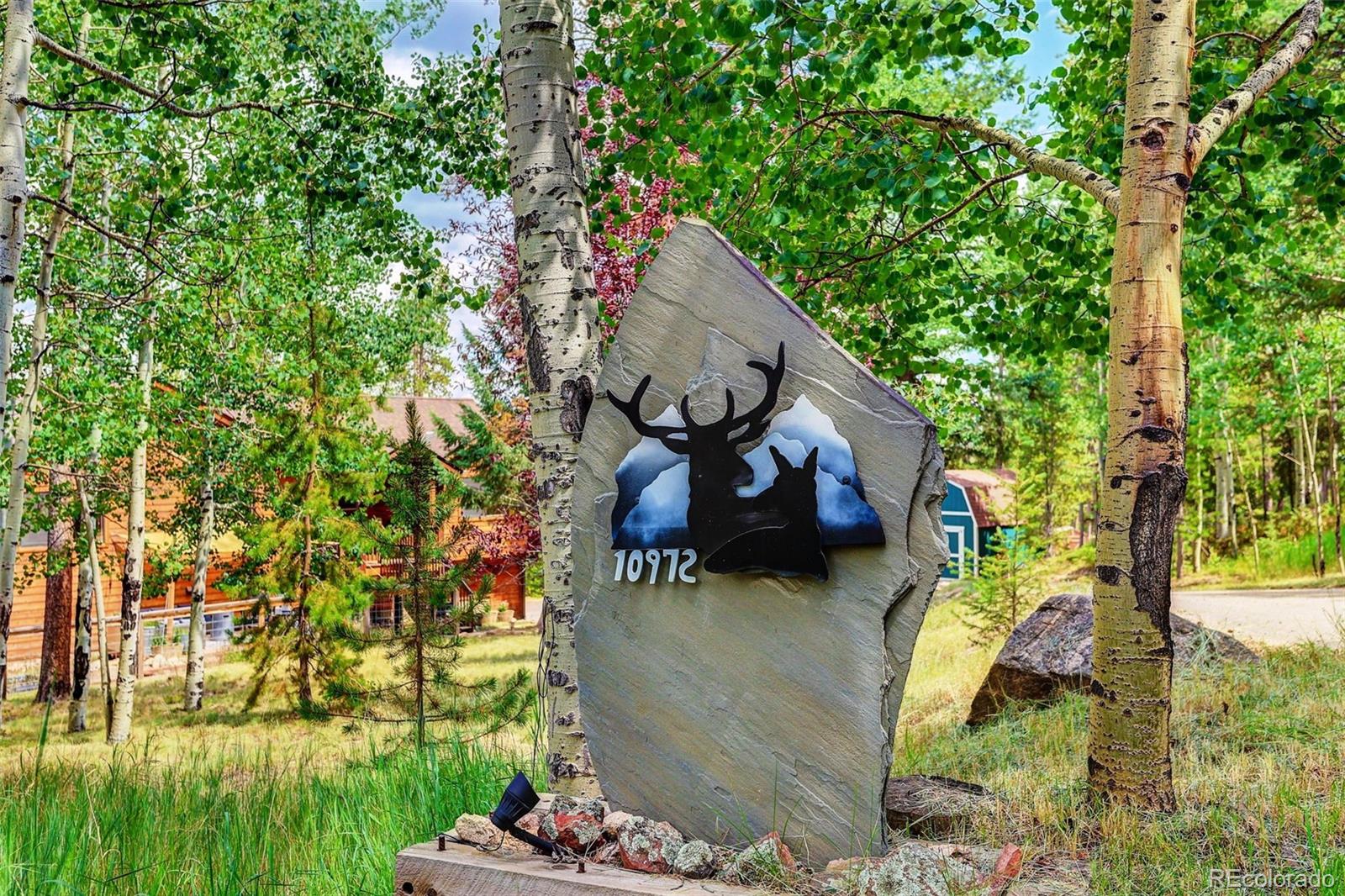 MLS Image #47 for 10972  milliken avenue,conifer, Colorado
