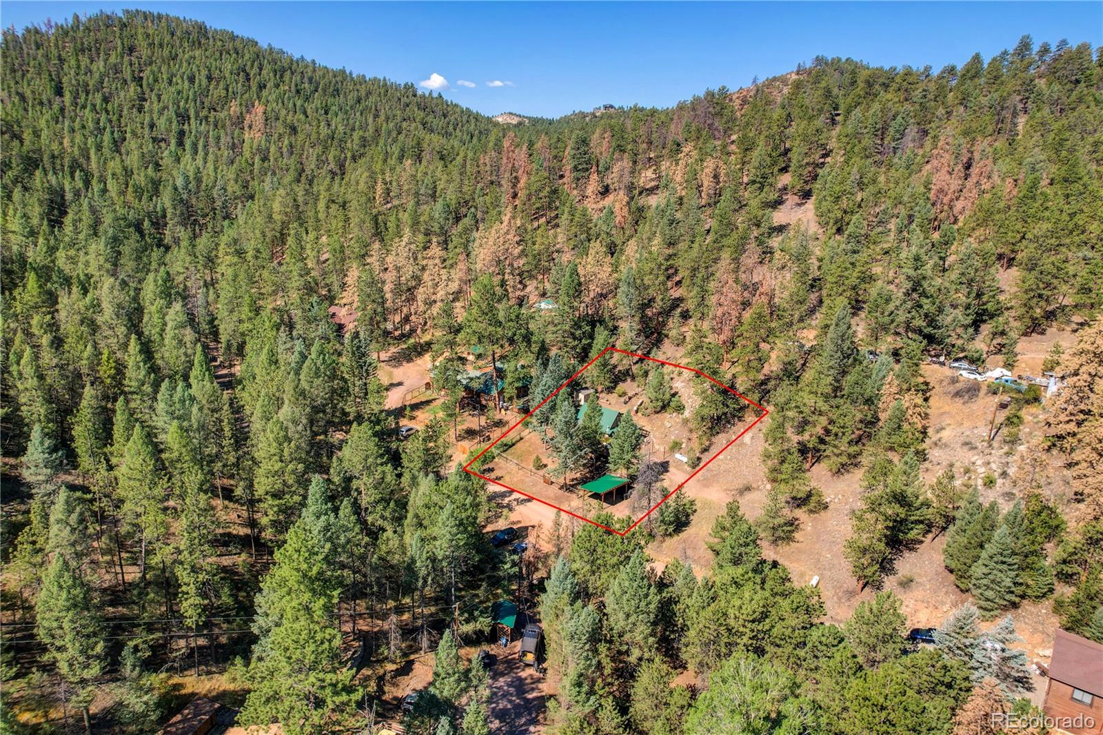 MLS Image #4 for 14550 s elk creek road,pine, Colorado