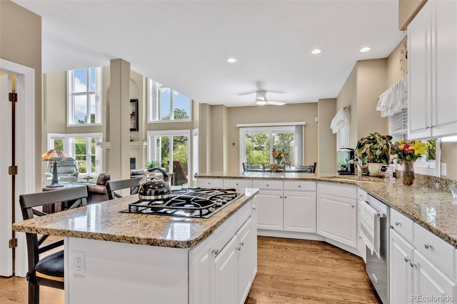 MLS Image #14 for 10822  quail creek drive,parker, Colorado