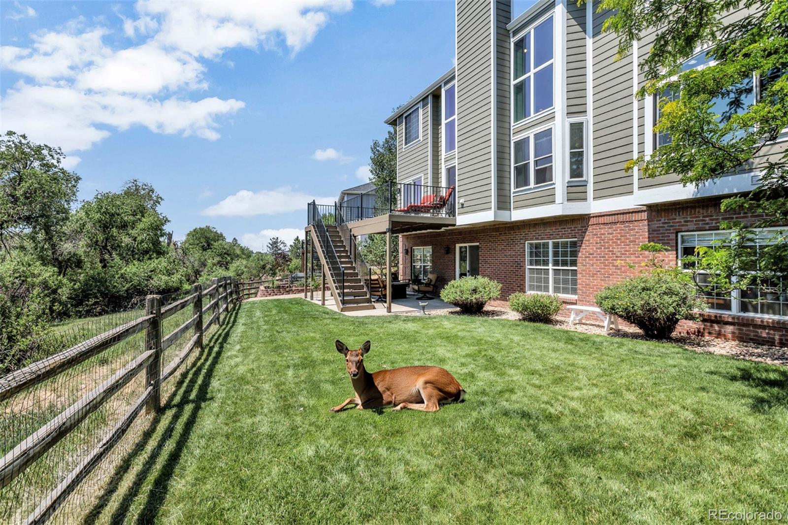 MLS Image #45 for 10822  quail creek drive,parker, Colorado