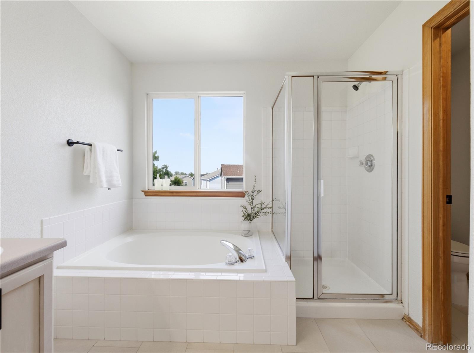 MLS Image #15 for 10024  strathfield lane,littleton, Colorado