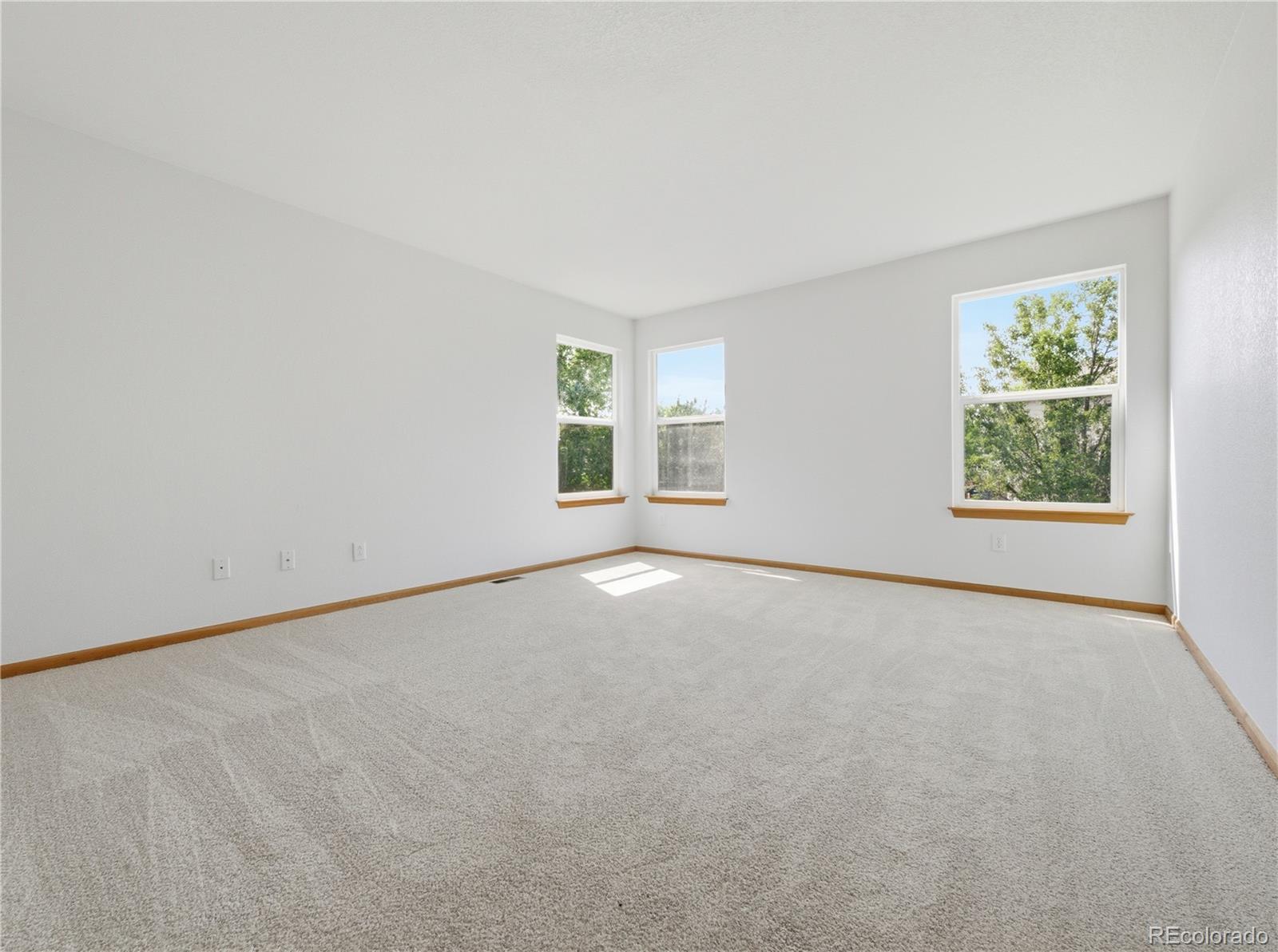 MLS Image #19 for 10024  strathfield lane,littleton, Colorado
