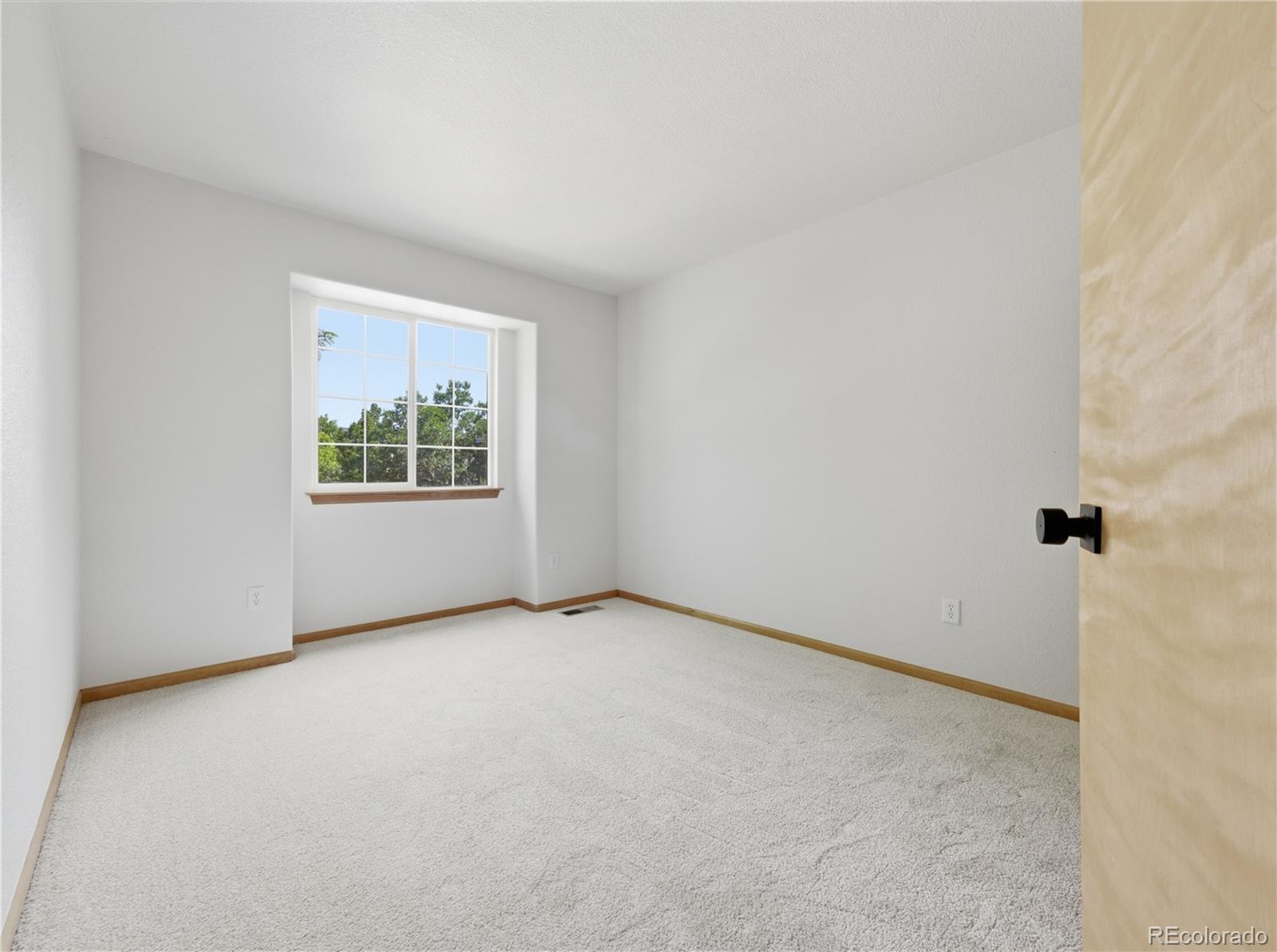 MLS Image #20 for 10024  strathfield lane,littleton, Colorado