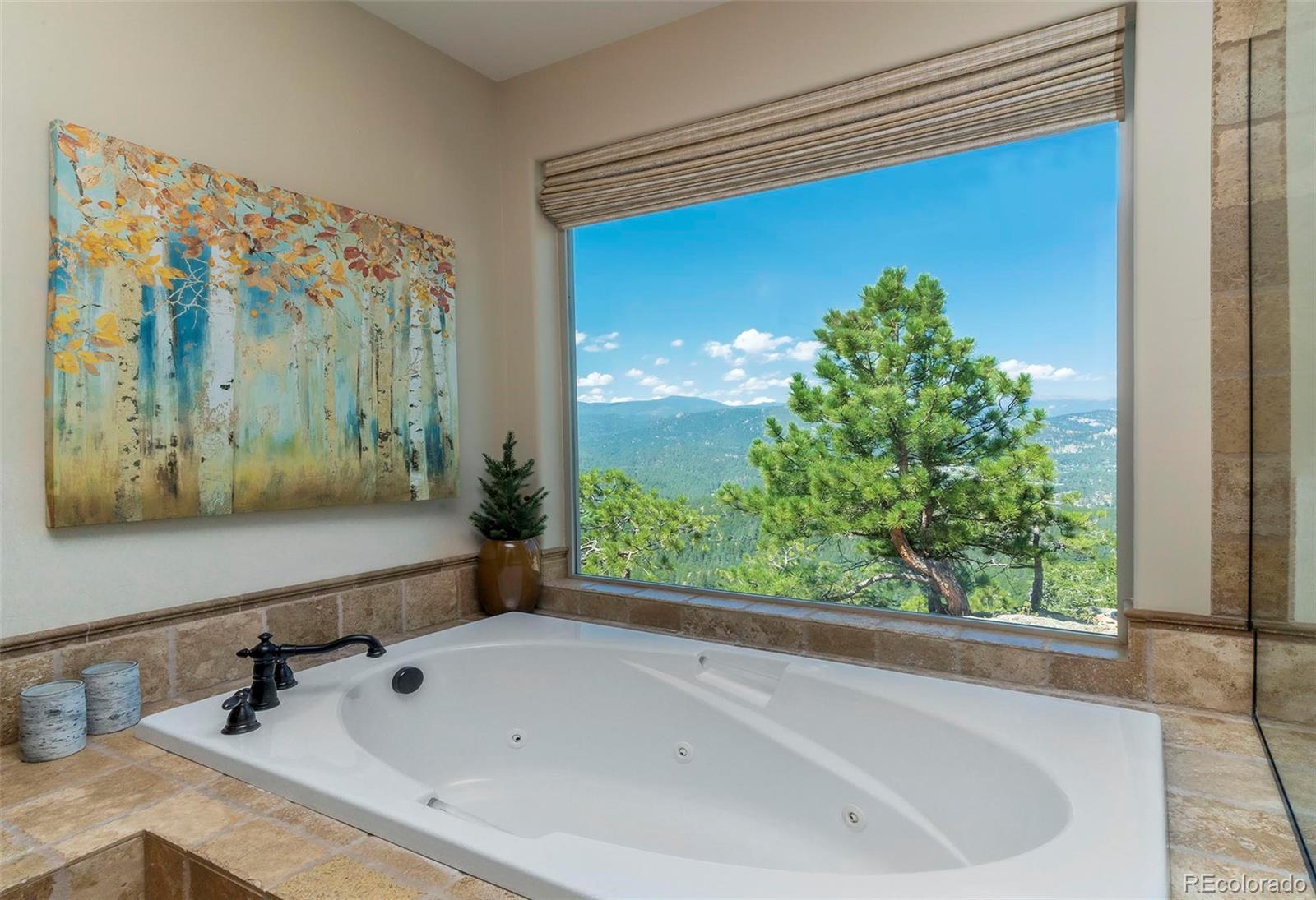 MLS Image #13 for 26427  bell park drive,evergreen, Colorado