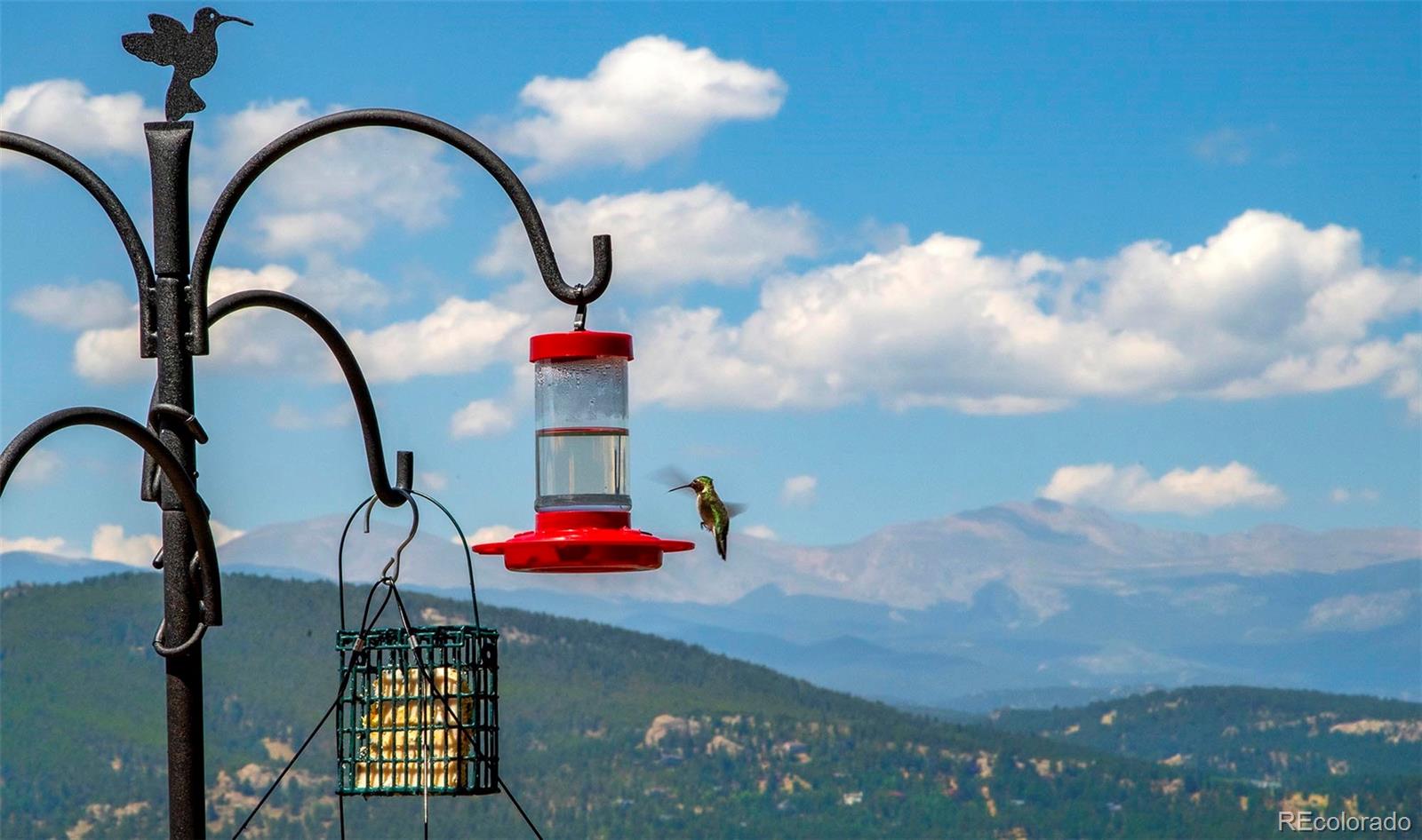 MLS Image #46 for 26427  bell park drive,evergreen, Colorado