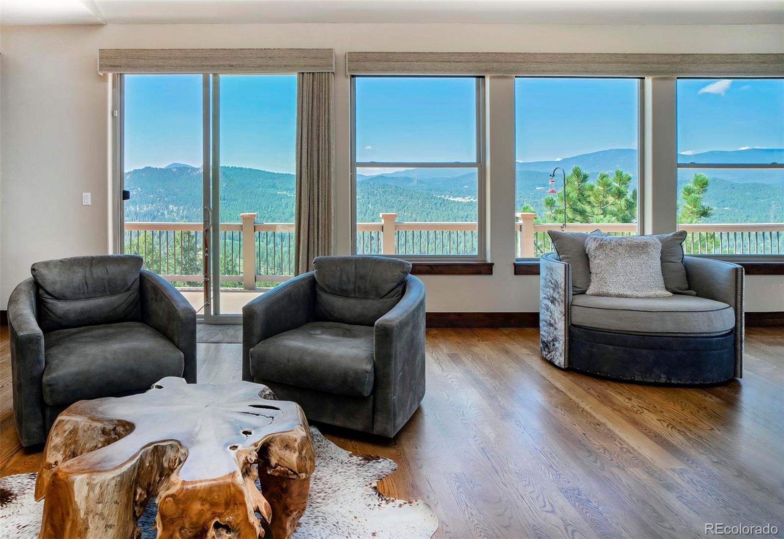 MLS Image #6 for 26427  bell park drive,evergreen, Colorado