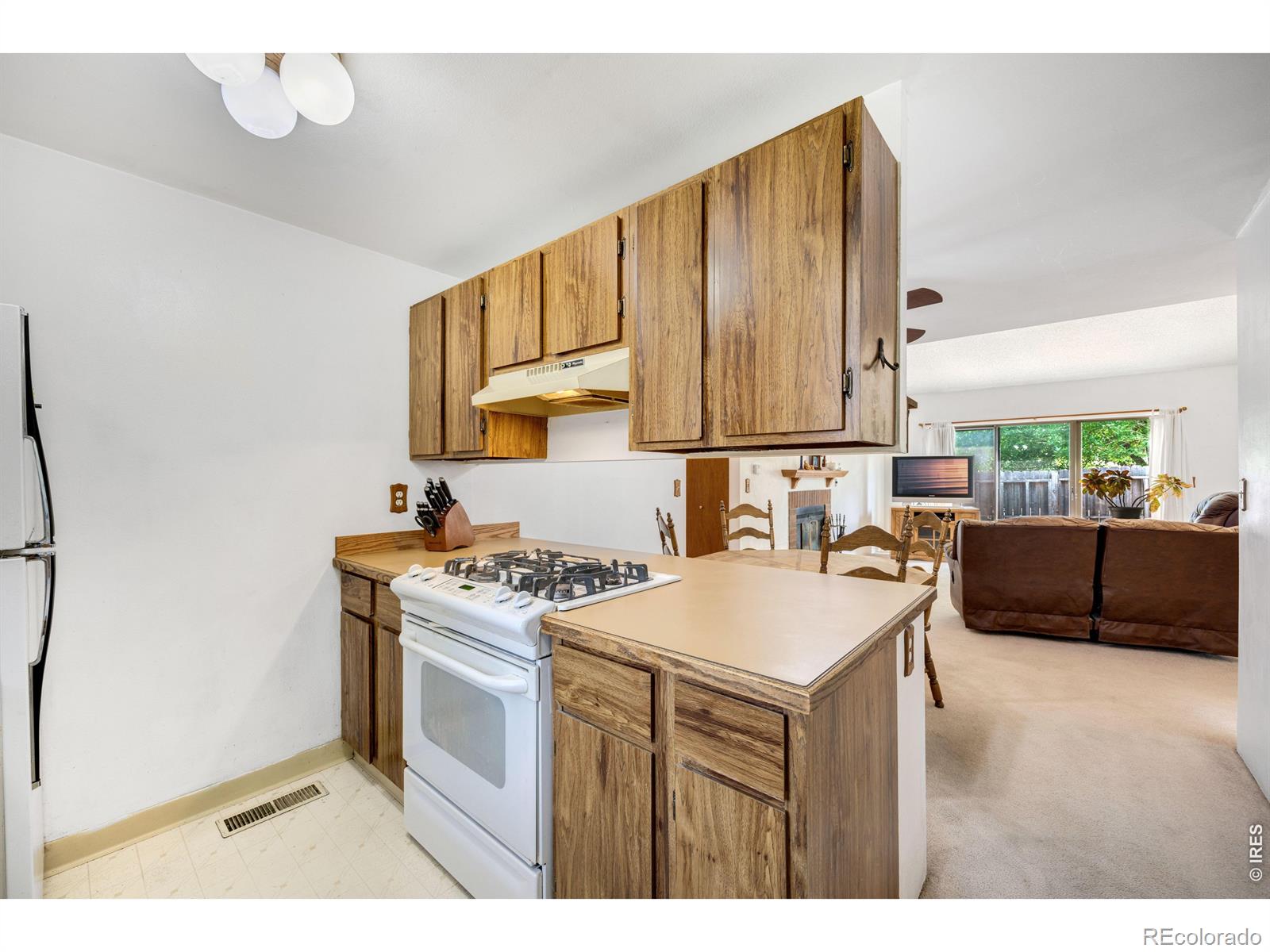 MLS Image #14 for 512  locust grove drive,fort collins, Colorado