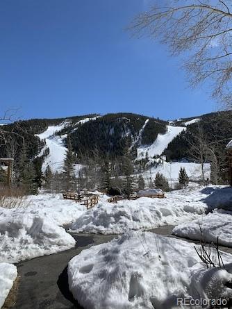 MLS Image #32 for 22784  us highway 6  2606,keystone, Colorado