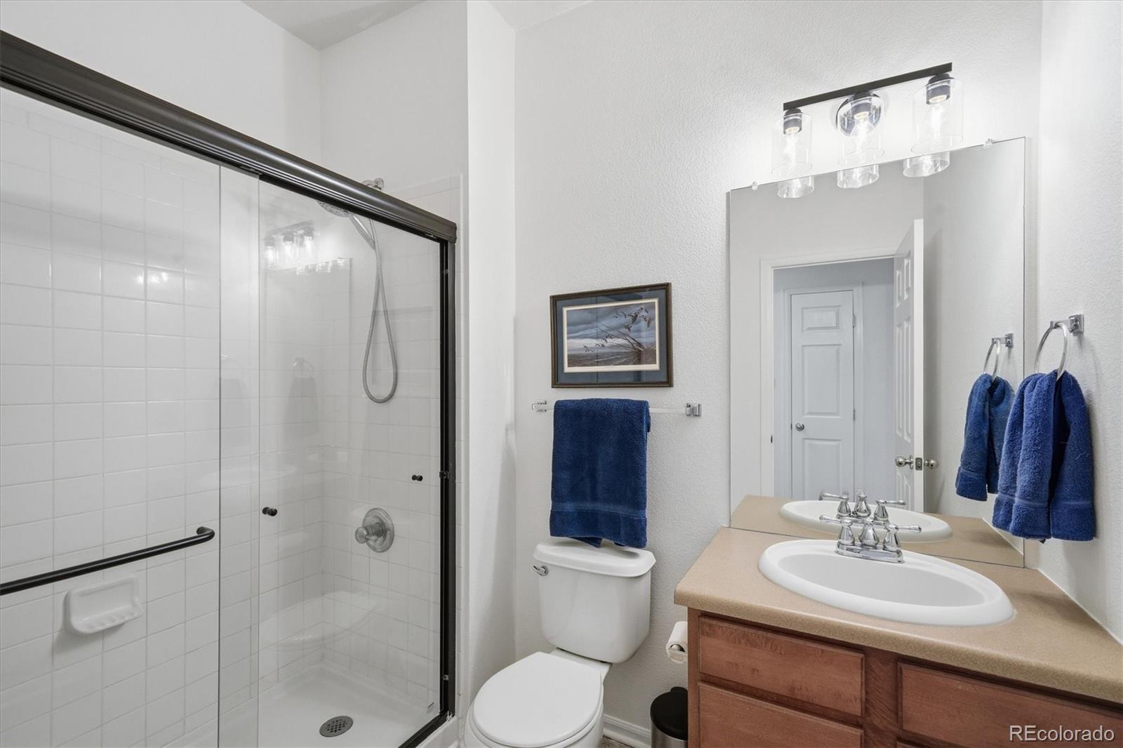 MLS Image #20 for 1156  petras street,erie, Colorado
