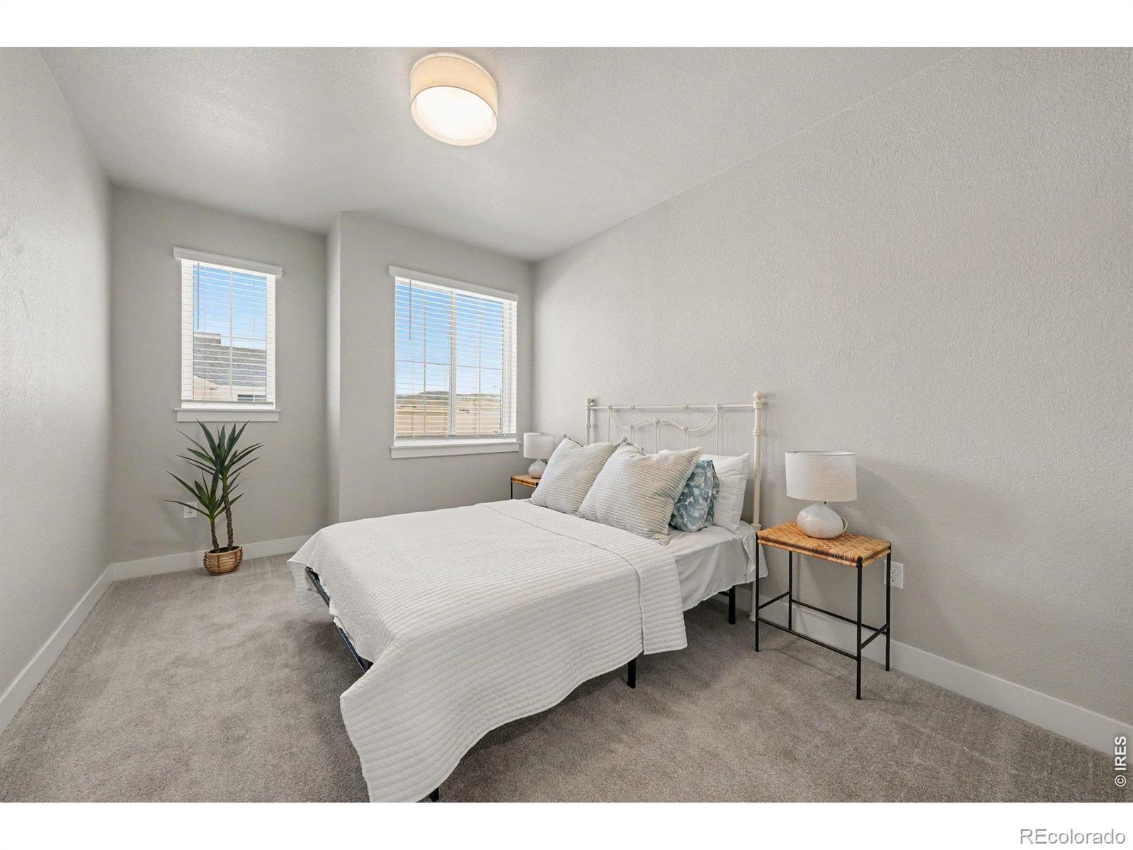 MLS Image #14 for 5086  stonewall street,loveland, Colorado