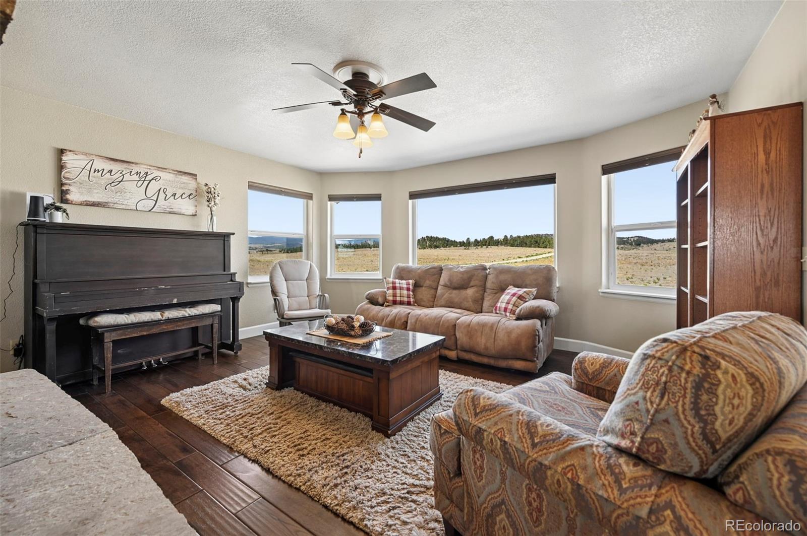 MLS Image #10 for 74  dwyer trail,hartsel, Colorado