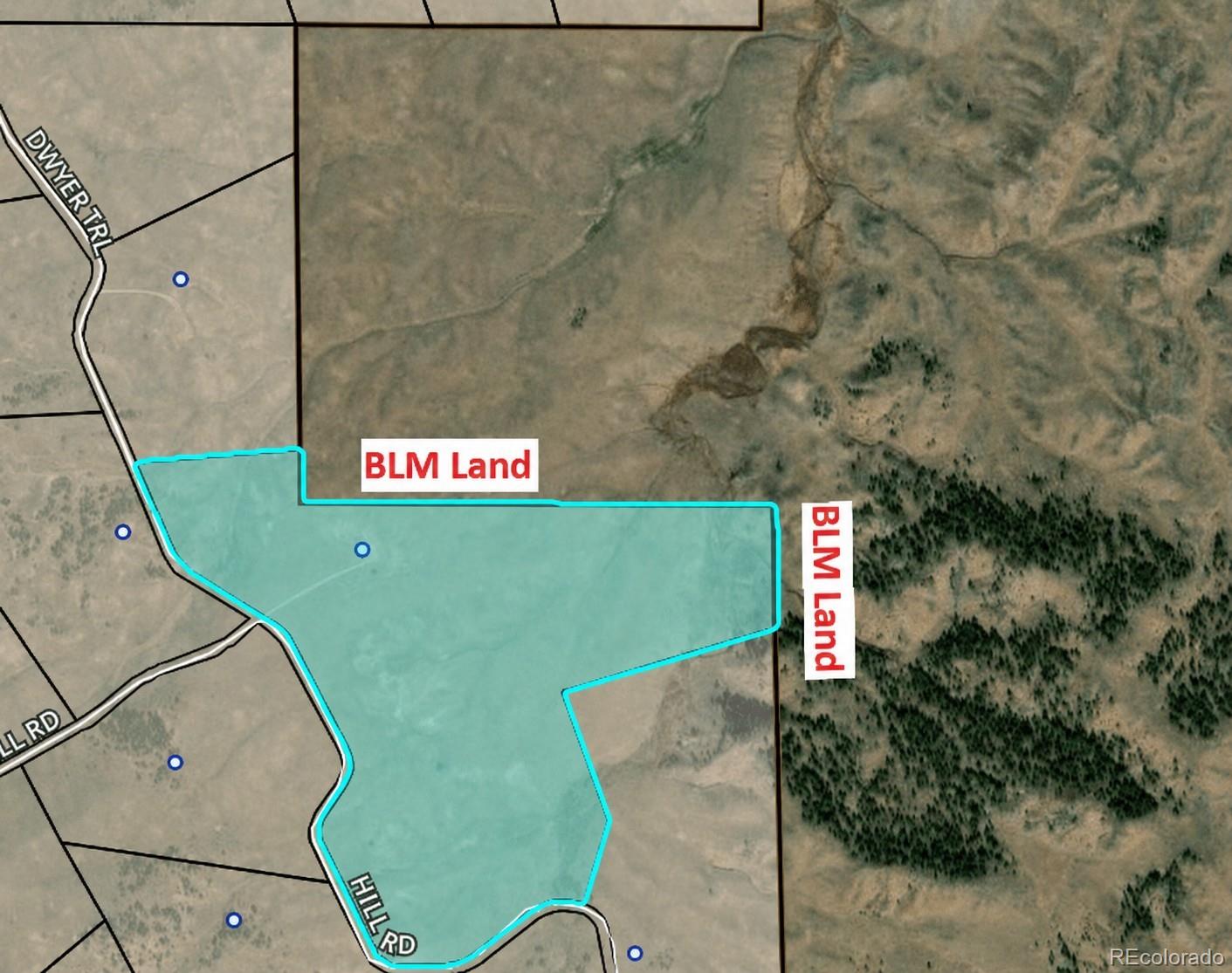 MLS Image #2 for 74  dwyer trail,hartsel, Colorado