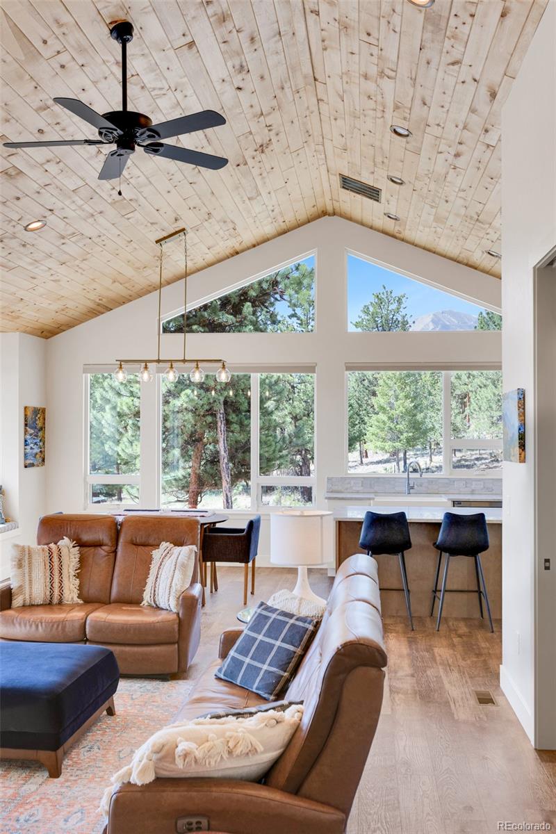 MLS Image #11 for 18737  trail west drive,buena vista, Colorado