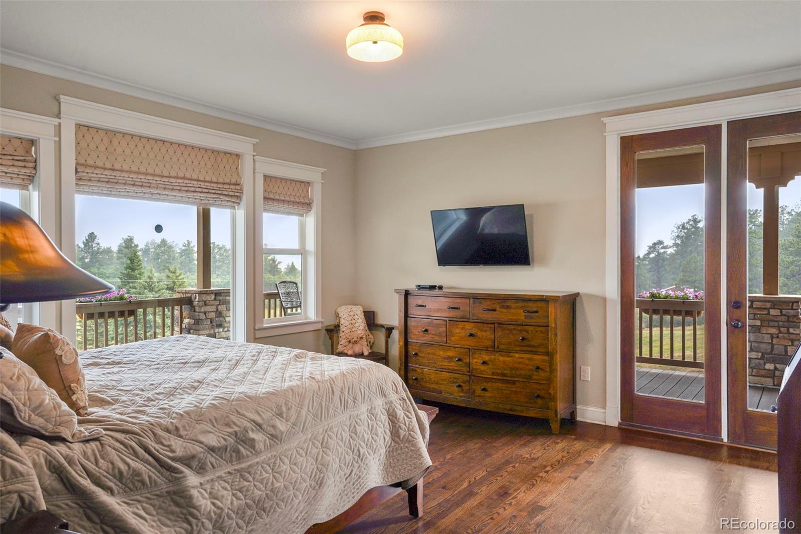 MLS Image #16 for 9610 s perry park road,larkspur, Colorado