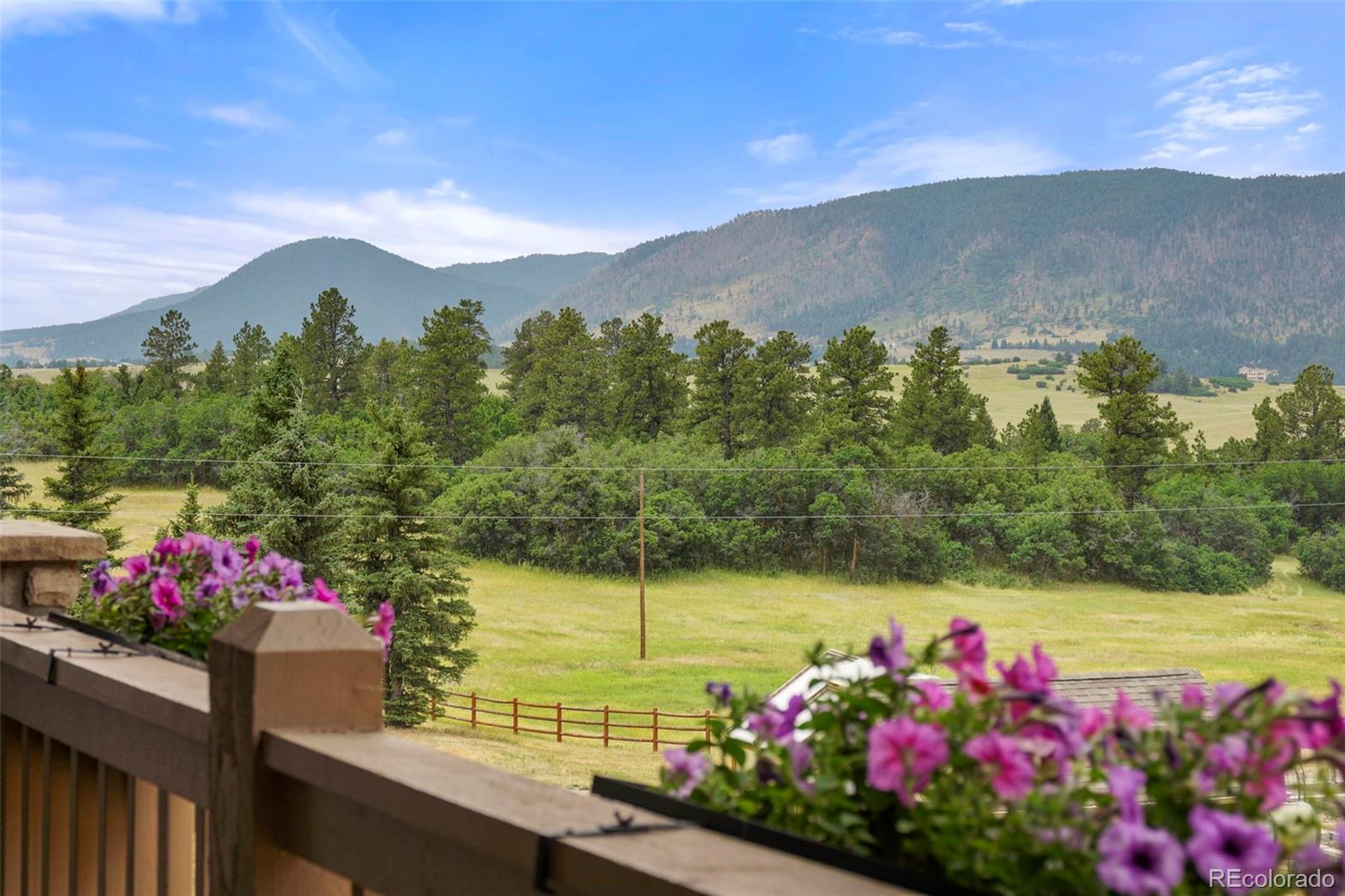MLS Image #2 for 9610 s perry park road,larkspur, Colorado