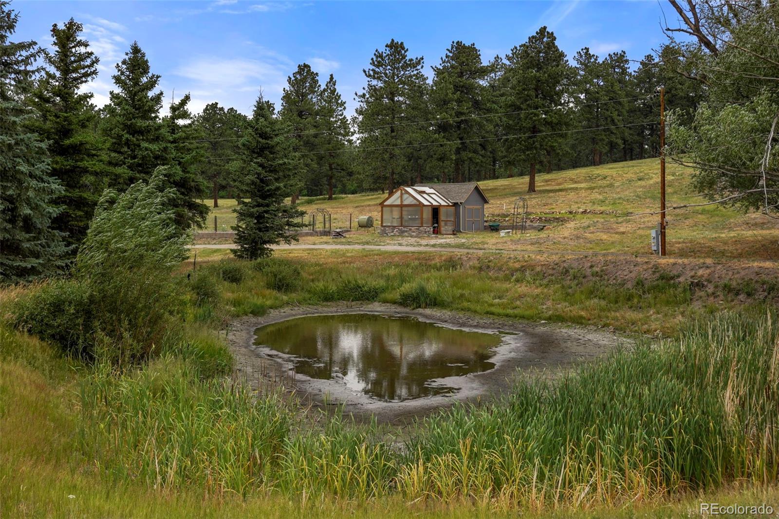 MLS Image #34 for 9610 s perry park road,larkspur, Colorado